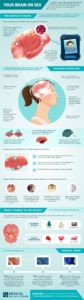 Infographic about Your Brain on Sex
