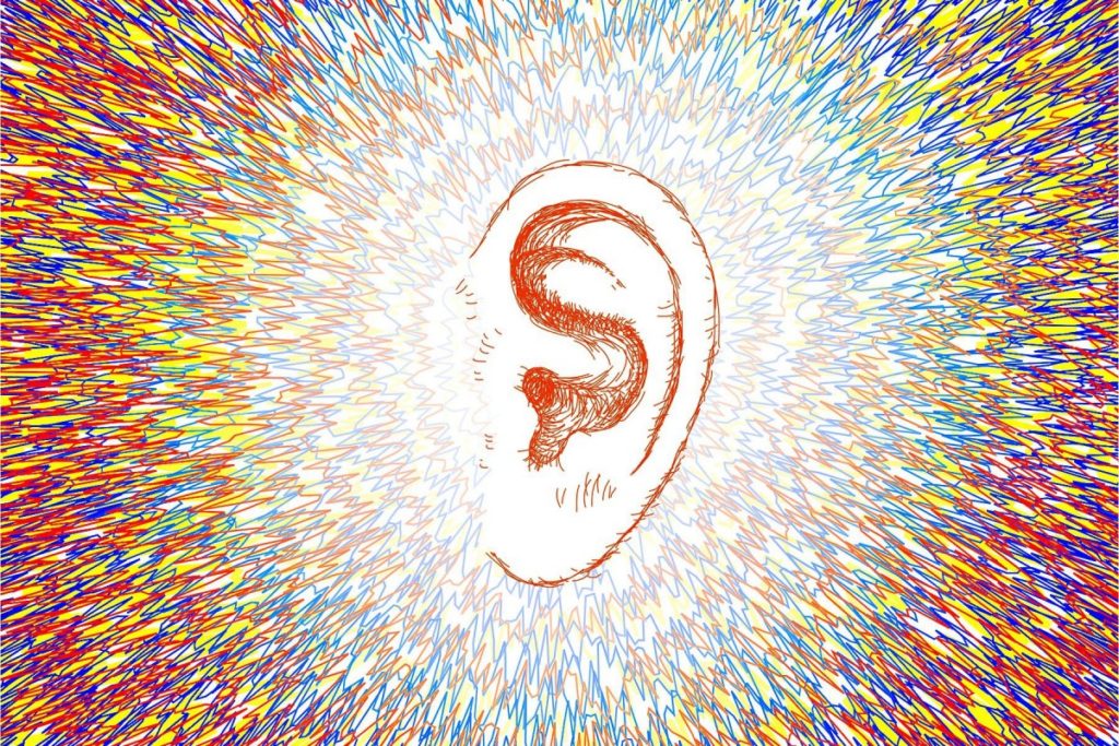 Drawing of an ear
