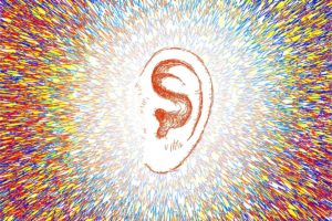 Drawing of an ear