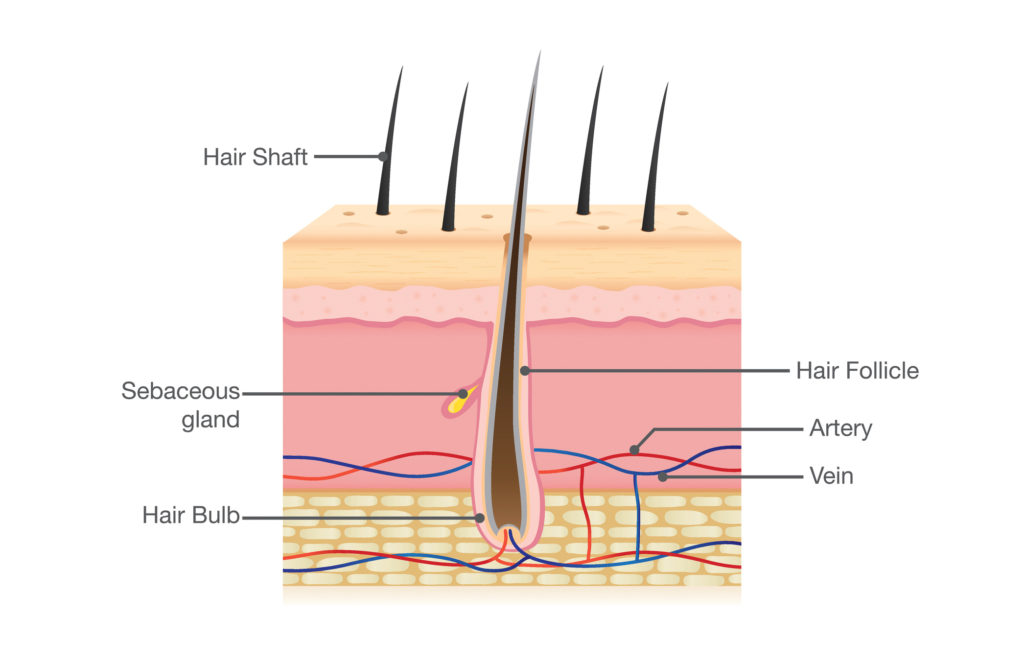 Поврежденный верхний слой волос