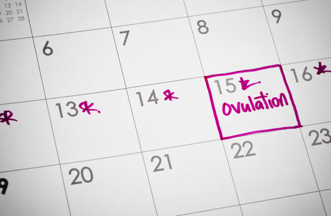Ovulation dates