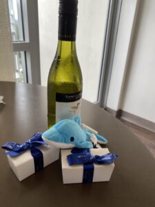A bottle of wine, a dolphin plushie, and two boxes