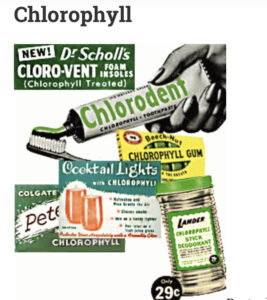 Chlorophyll