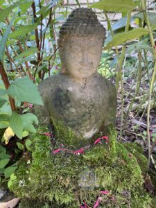 Buddha