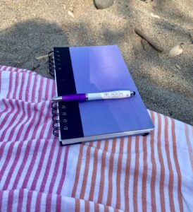 A notebook and pen of Love Medicine
