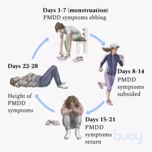 Cycle of Premenstrual Dysphoric Disorder